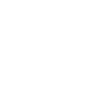 Reincarnation