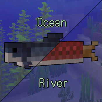 Accurate Salmon Variation