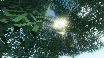 Accurate Textures