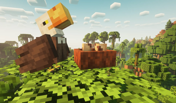 Acorn's Journey