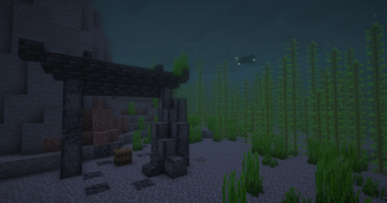 Acorn's Journey