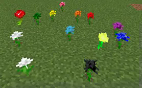 A Collection Of Random Stuff (A.C.O.R.S.)