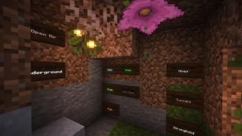 ACT Bedwars