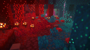 Actually 3D Flowers & Plants