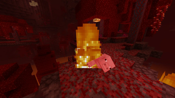 Ad Astra Nether