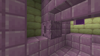 Adapting Shulkers
