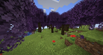 Additional Biomes