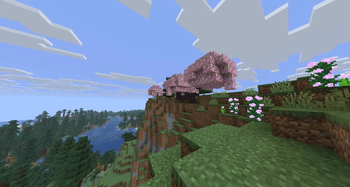 Additional Biomes