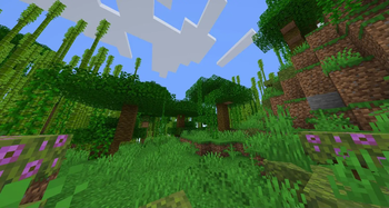 Additional Biomes