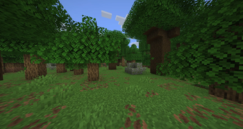 Additional Biomes