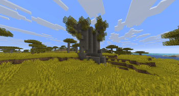 Additional Biomes