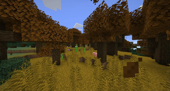 Additional Biomes