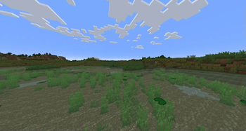 Additional Biomes