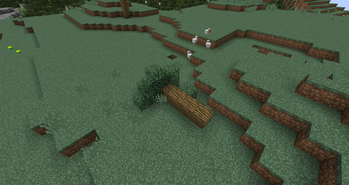 Additional Structures