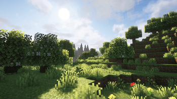 {Additions} A Vanilla+ Experience