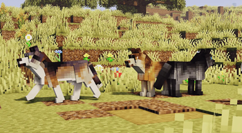 Adopt a Pet!! [ Dog and Cat ]