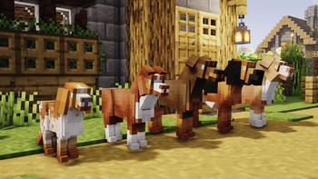 Adopt a Pet!! [ Dog and Cat ]