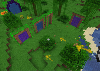 Advanced Portals