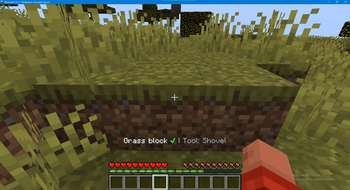 AdvancedBlockIndicator