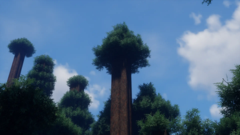 Aequalis 64x