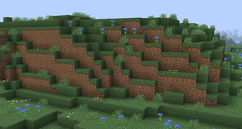Aesthetic Grass