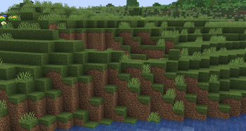 Aesthetic Grass