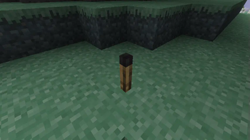 Aether Addon: Enhanced Extinguishing