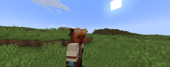 AFK Camera