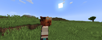 AFK Camera