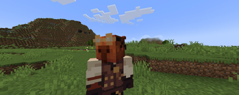AFK Camera
