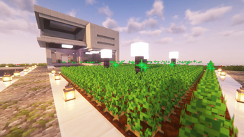Aged Crops