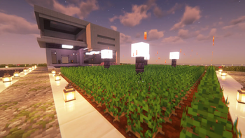 Aged Crops