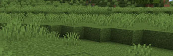 Ainforge