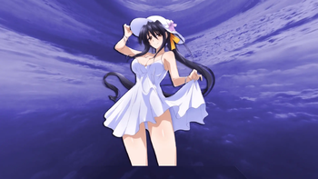 Akeno Himejima Skybox