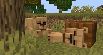 AKJ SMP