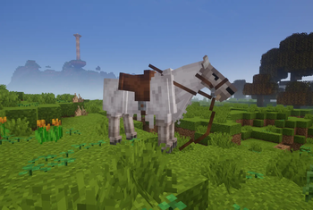 Alder's Animals World
