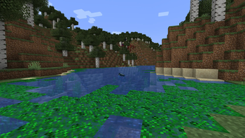 Algae Delight