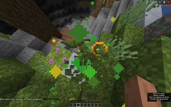 All items totems