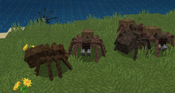 All Spiders - Crabs & Scorpions, by Mickey Joe
