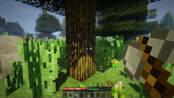 Allergen's TerraFirmaCraft (TFC)