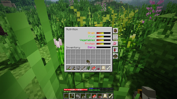 Allergen's TerraFirmaCraft (TFC)