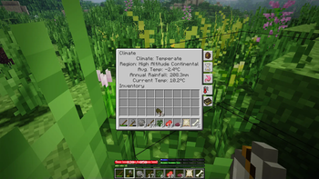 Allergen's TerraFirmaCraft (TFC)