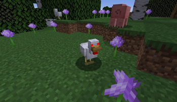 Allium+