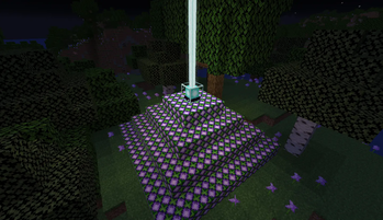 Allium+