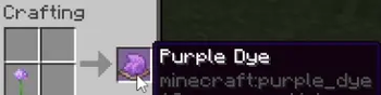 Alliums are Clearly Purple