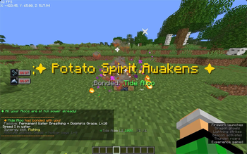 Aloo Skill SMP
