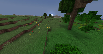 Alpha Grass