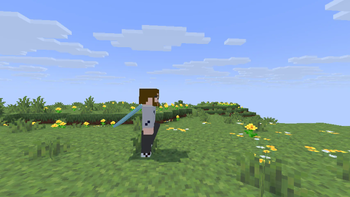 Alternative Custom Player Animations