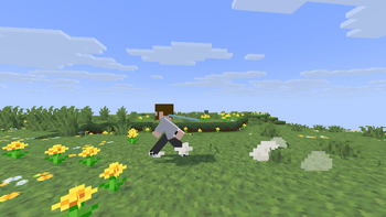 Alternative Custom Player Animations