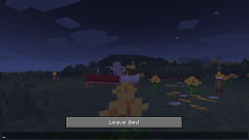 Alternative Custom Player Animations